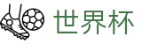 FIFA世界杯投注中心 · 体育赛事全站服务平台